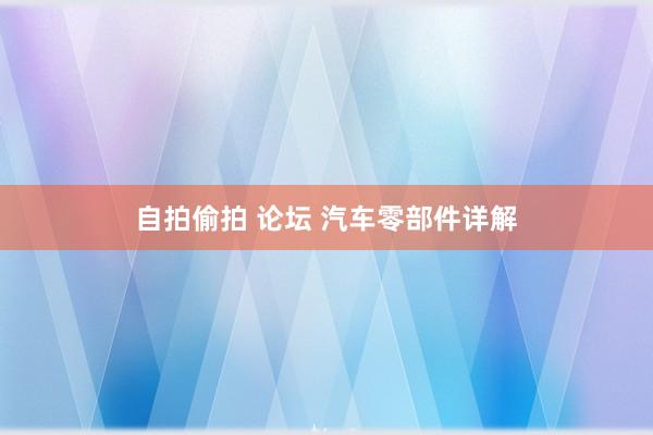 自拍偷拍 论坛 汽车零部件详解