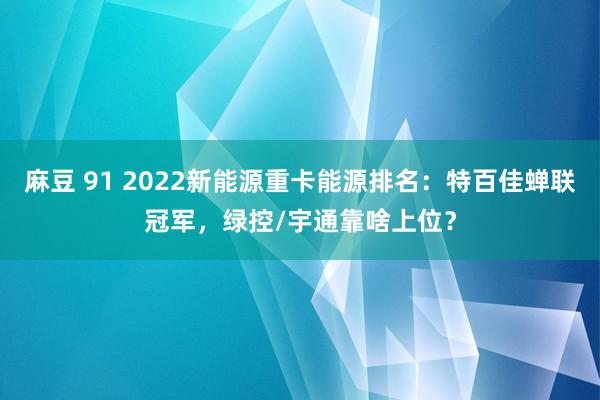 麻豆 91 2022新能源重卡能源排名：特百佳蝉联冠军，绿控/宇通靠啥上位？