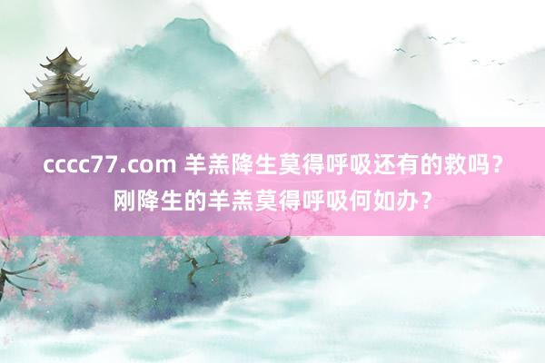 cccc77.com 羊羔降生莫得呼吸还有的救吗？刚降生的羊羔莫得呼吸何如办？