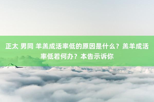 正太 男同 羊羔成活率低的原因是什么？羔羊成活率低若何办？本告示诉你