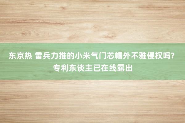 东京热 雷兵力推的小米气门芯帽外不雅侵权吗? 专利东谈主已在线露出