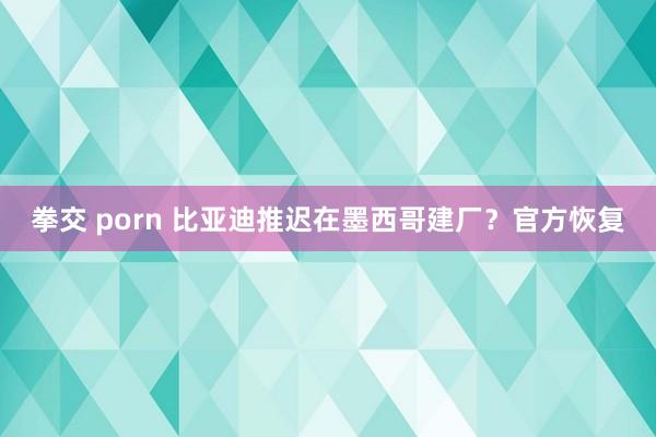 拳交 porn 比亚迪推迟在墨西哥建厂？官方恢复