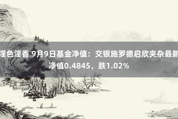 淫色淫香 9月9日基金净值：交银施罗德启欣夹杂最新净值0.4845，跌1.02%