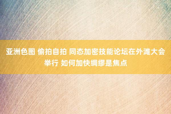 亚洲色图 偷拍自拍 同态加密技能论坛在外滩大会举行 如何加快绸缪是焦点