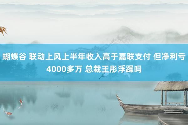 蝴蝶谷 联动上风上半年收入高于嘉联支付 但净利亏4000多万 总裁王彤浮躁吗