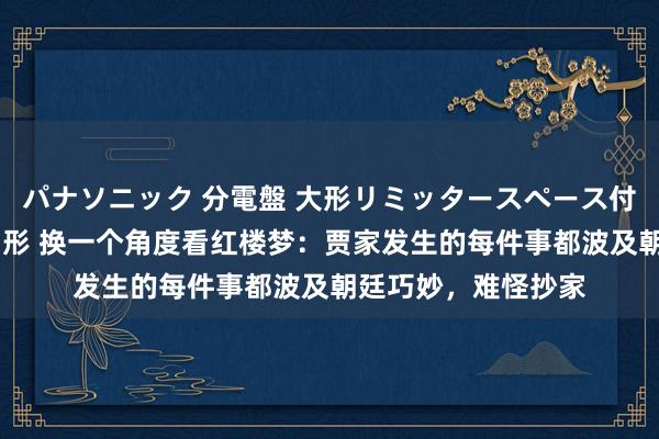 パナソニック 分電盤 大形リミッタースペース付 露出・半埋込両用形 换一个角度看红楼梦：贾家发生的每件事都波及朝廷巧妙，难怪抄家