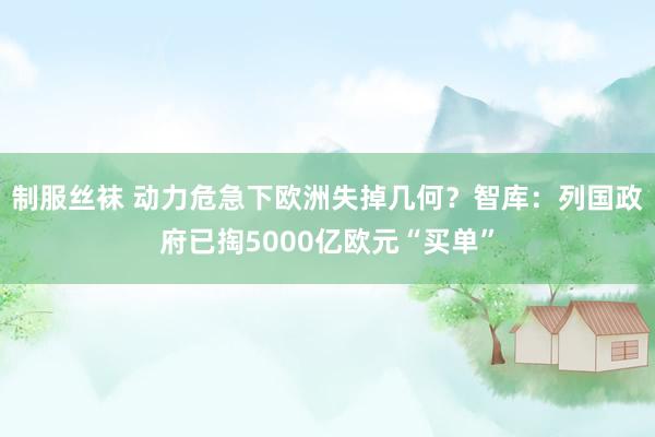 制服丝袜 动力危急下欧洲失掉几何？智库：列国政府已掏5000亿欧元“买单”