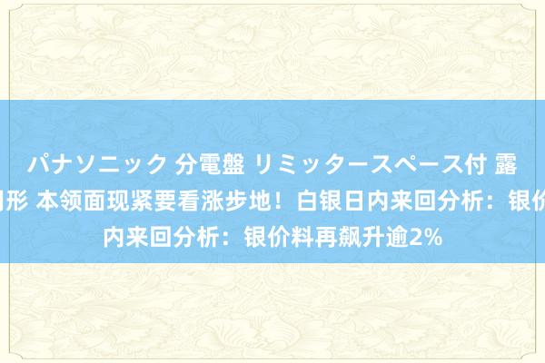 パナソニック 分電盤 リミッタースペース付 露出・半埋込両用形 本领面现紧要看涨步地！白银日内来回分析：银价料再飙升逾2%