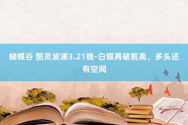 蝴蝶谷 图灵波澜3.21晚-白银再破前高、多头还有空间