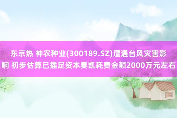 东京热 神农种业(300189.SZ)遭遇台风灾害影响 初步估算已插足资本奏凯耗费金额2000万元左右