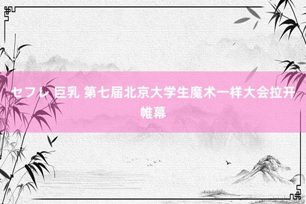 セフレ 巨乳 第七届北京大学生魔术一样大会拉开帷幕