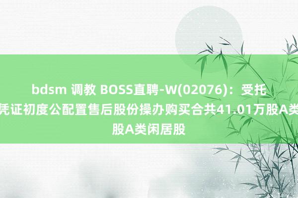 bdsm 调教 BOSS直聘-W(02076)：受托东谈主凭证初度公配置售后股份操办购买合共41.01万股A类闲居股