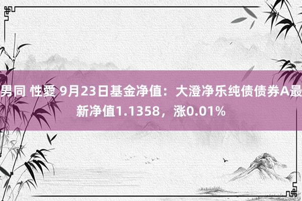 男同 性愛 9月23日基金净值：大澄净乐纯债债券A最新净值1.1358，涨0.01%