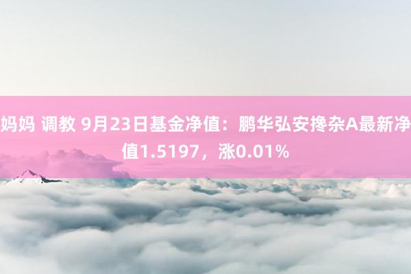 妈妈 调教 9月23日基金净值：鹏华弘安搀杂A最新净值1.5197，涨0.01%