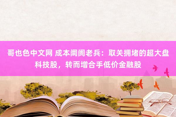 哥也色中文网 成本阛阓老兵：取关拥堵的超大盘科技股，转而增合手低价金融股