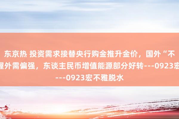 东京热 投资需求接替央行购金推升金价，国外“不阑珊”撑握外需偏强，东谈主民币增值能源部分好转---0923宏不雅脱水