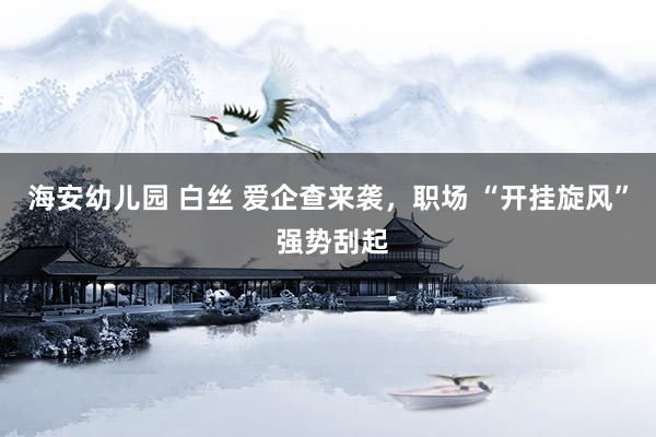 海安幼儿园 白丝 爱企查来袭，职场 “开挂旋风” 强势刮起