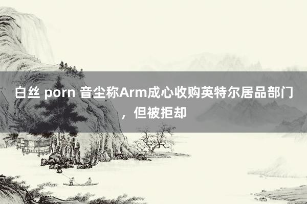 白丝 porn 音尘称Arm成心收购英特尔居品部门，但被拒却