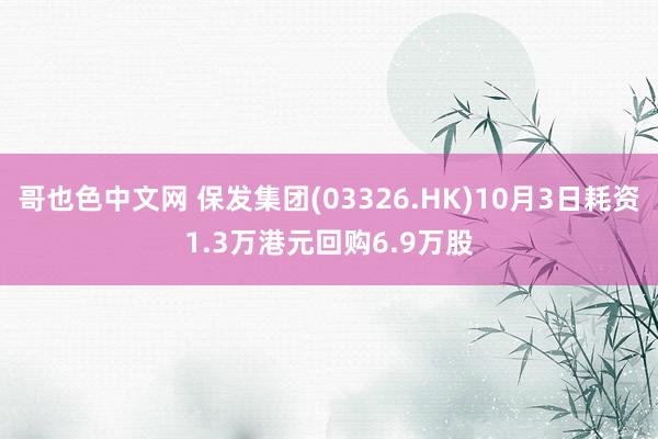 哥也色中文网 保发集团(03326.HK)10月3日耗资1.3万港元回购6.9万股