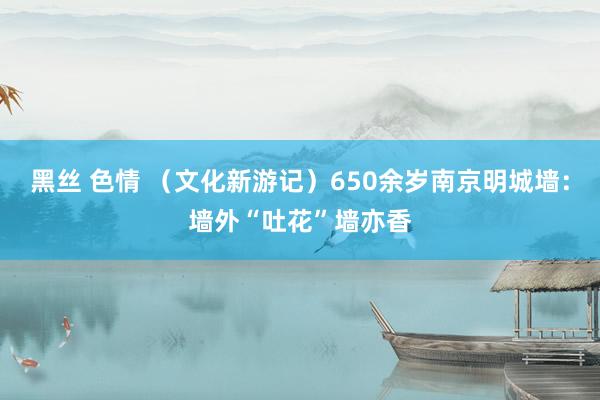 黑丝 色情 （文化新游记）650余岁南京明城墙：墙外“吐花”墙亦香