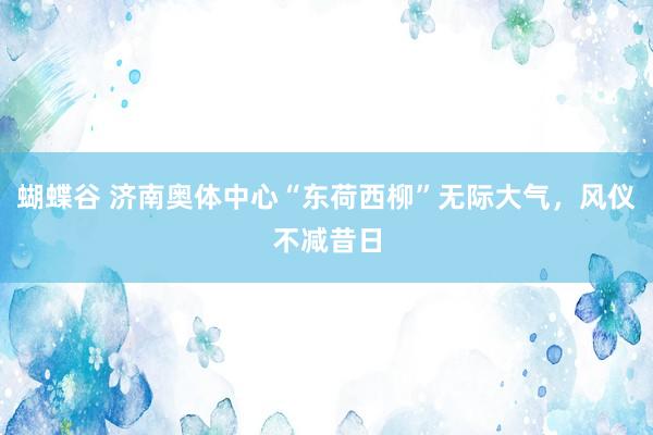 蝴蝶谷 济南奥体中心“东荷西柳”无际大气，风仪不减昔日