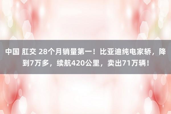 中国 肛交 28个月销量第一！比亚迪纯电家轿，降到7万多，续航420公里，卖出71万辆！