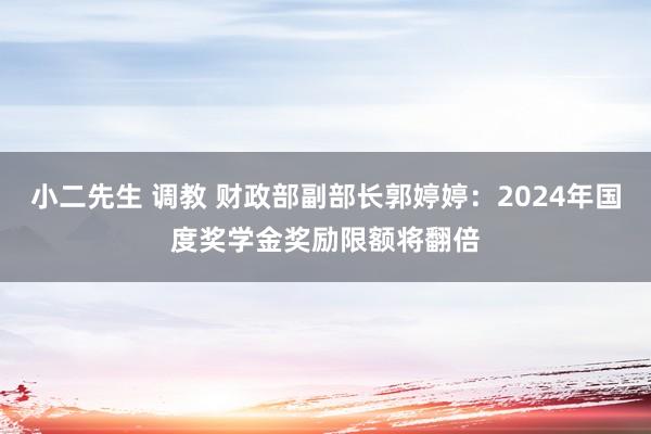 小二先生 调教 财政部副部长郭婷婷：2024年国度奖学金奖励限额将翻倍