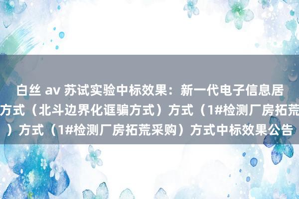 白丝 av 苏试实验中标效果：新一代电子信息居品纯属检测职业能力升迁方式（北斗边界化诓骗方式）方式（1#检测厂房拓荒采购）方式中标效果公告