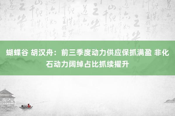 蝴蝶谷 胡汉舟：前三季度动力供应保抓满盈 非化石动力阔绰占比抓续擢升