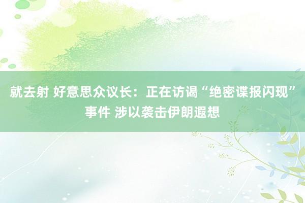 就去射 好意思众议长：正在访谒“绝密谍报闪现”事件 涉以袭击伊朗遐想