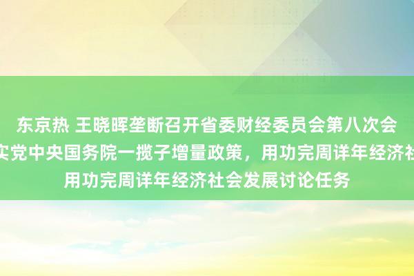 东京热 王晓晖垄断召开省委财经委员会第八次会议强调：全面落实党中央国务院一揽子增量政策，用功完周详年经济社会发展讨论任务