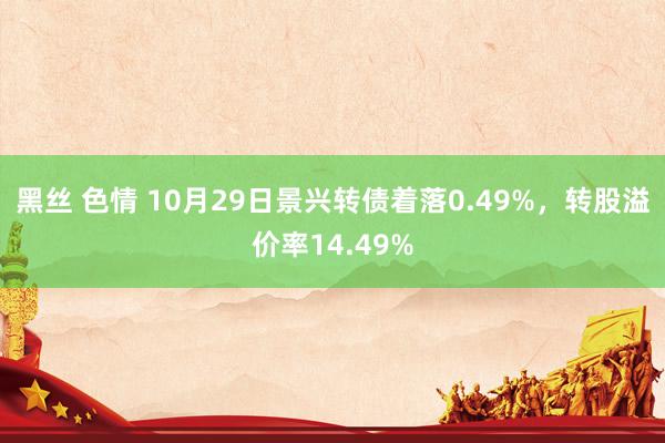 黑丝 色情 10月29日景兴转债着落0.49%，转股溢价率14.49%