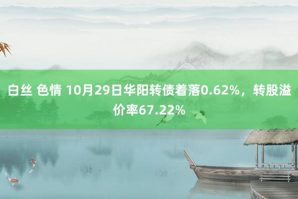 白丝 色情 10月29日华阳转债着落0.62%，转股溢价率67.22%