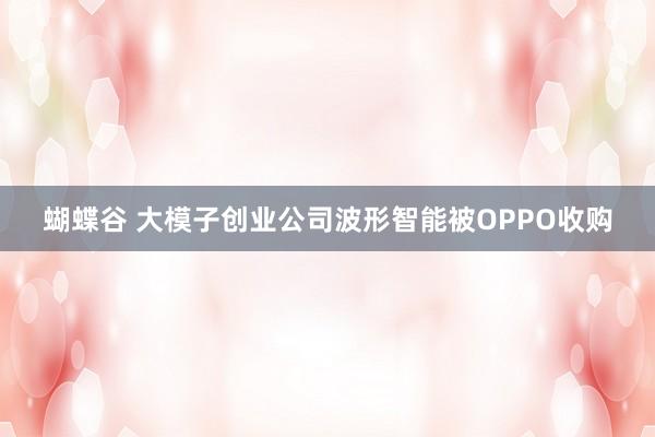 蝴蝶谷 大模子创业公司波形智能被OPPO收购