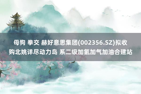 母狗 拳交 赫好意思集团(002356.SZ)拟收购北姚详尽动力岛 系二级加氢加气加油合建站