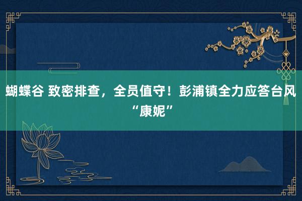 蝴蝶谷 致密排查，全员值守！彭浦镇全力应答台风“康妮”