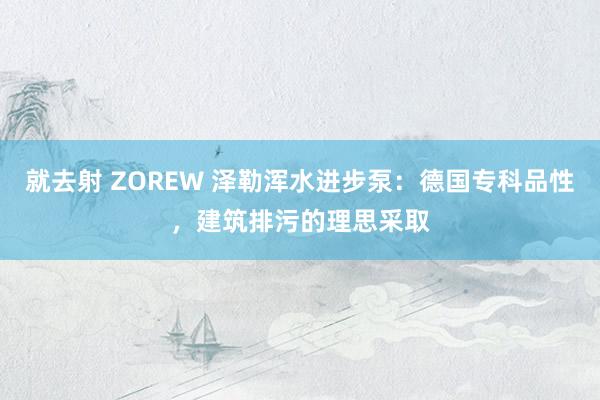 就去射 ZOREW 泽勒浑水进步泵：德国专科品性，建筑排污的理思采取