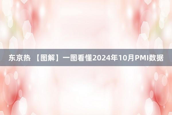 东京热 【图解】一图看懂2024年10月PMI数据