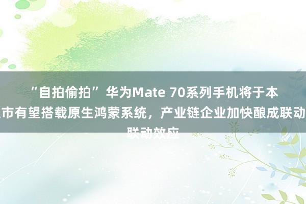 “自拍偷拍” 华为Mate 70系列手机将于本月上市有望搭载原生鸿蒙系统，产业链企业加快酿成联动效应