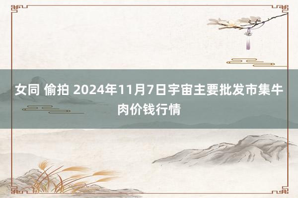 女同 偷拍 2024年11月7日宇宙主要批发市集牛肉价钱行情