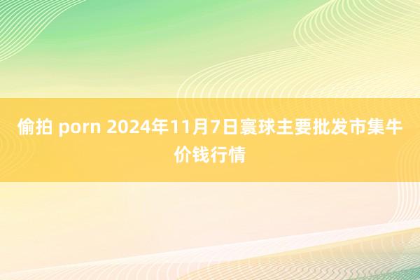 偷拍 porn 2024年11月7日寰球主要批发市集牛价钱行情