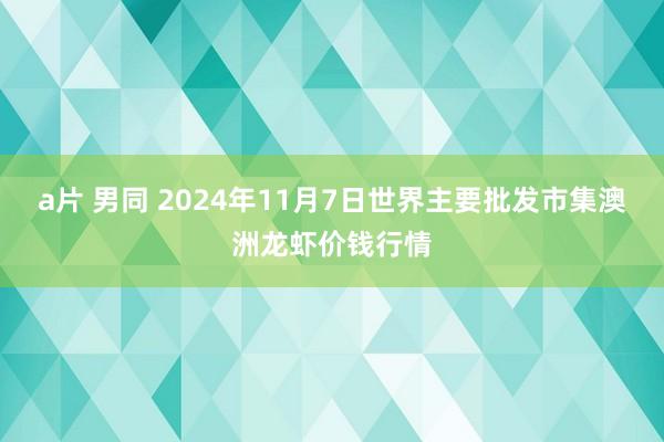 a片 男同 2024年11月7日世界主要批发市集澳洲龙虾价钱行情