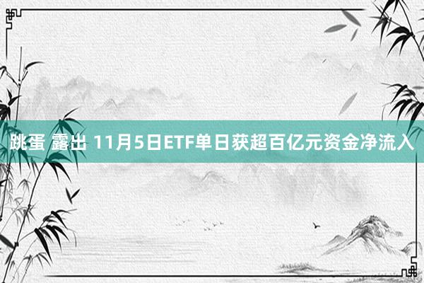 跳蛋 露出 11月5日ETF单日获超百亿元资金净流入