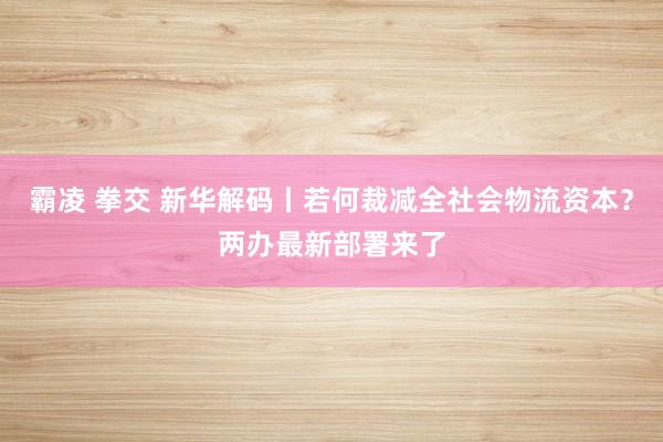 霸凌 拳交 新华解码丨若何裁减全社会物流资本？两办最新部署来了