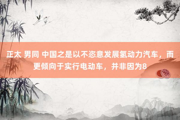 正太 男同 中国之是以不恣意发展氢动力汽车，而更倾向于实行电动车，并非因为8