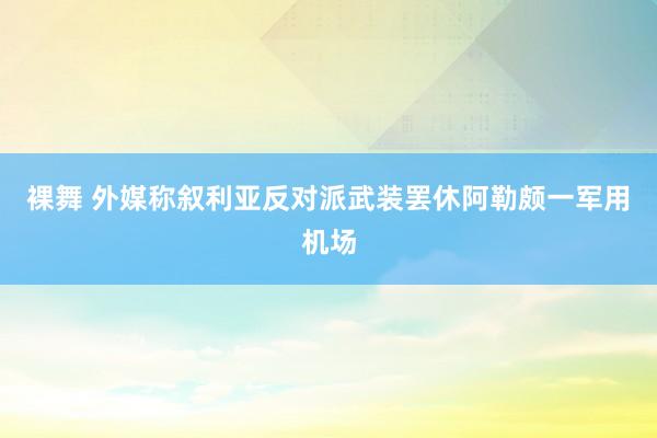 裸舞 外媒称叙利亚反对派武装罢休阿勒颇一军用机场