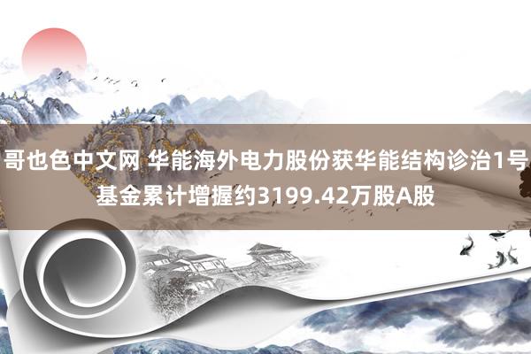 哥也色中文网 华能海外电力股份获华能结构诊治1号基金累计增握约3199.42万股A股