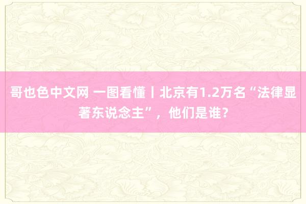 哥也色中文网 一图看懂丨北京有1.2万名“法律显著东说念主”，他们是谁？