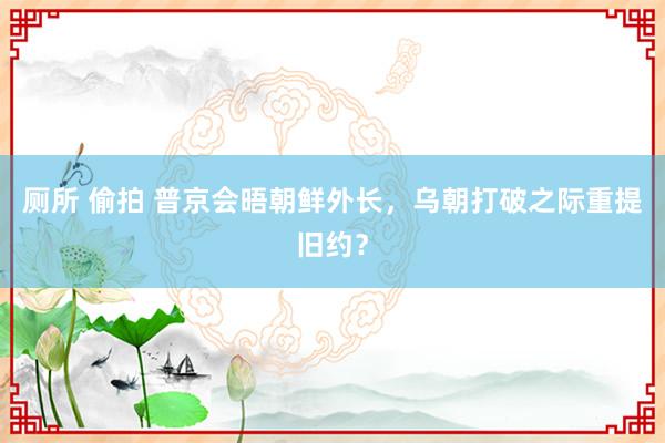 厕所 偷拍 普京会晤朝鲜外长，乌朝打破之际重提旧约？