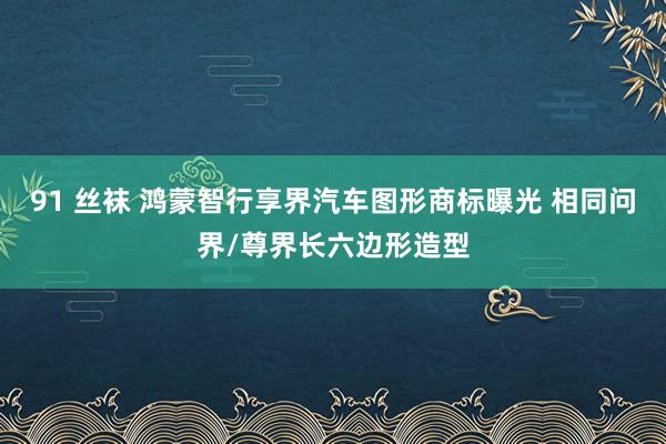 91 丝袜 鸿蒙智行享界汽车图形商标曝光 相同问界/尊界长六边形造型